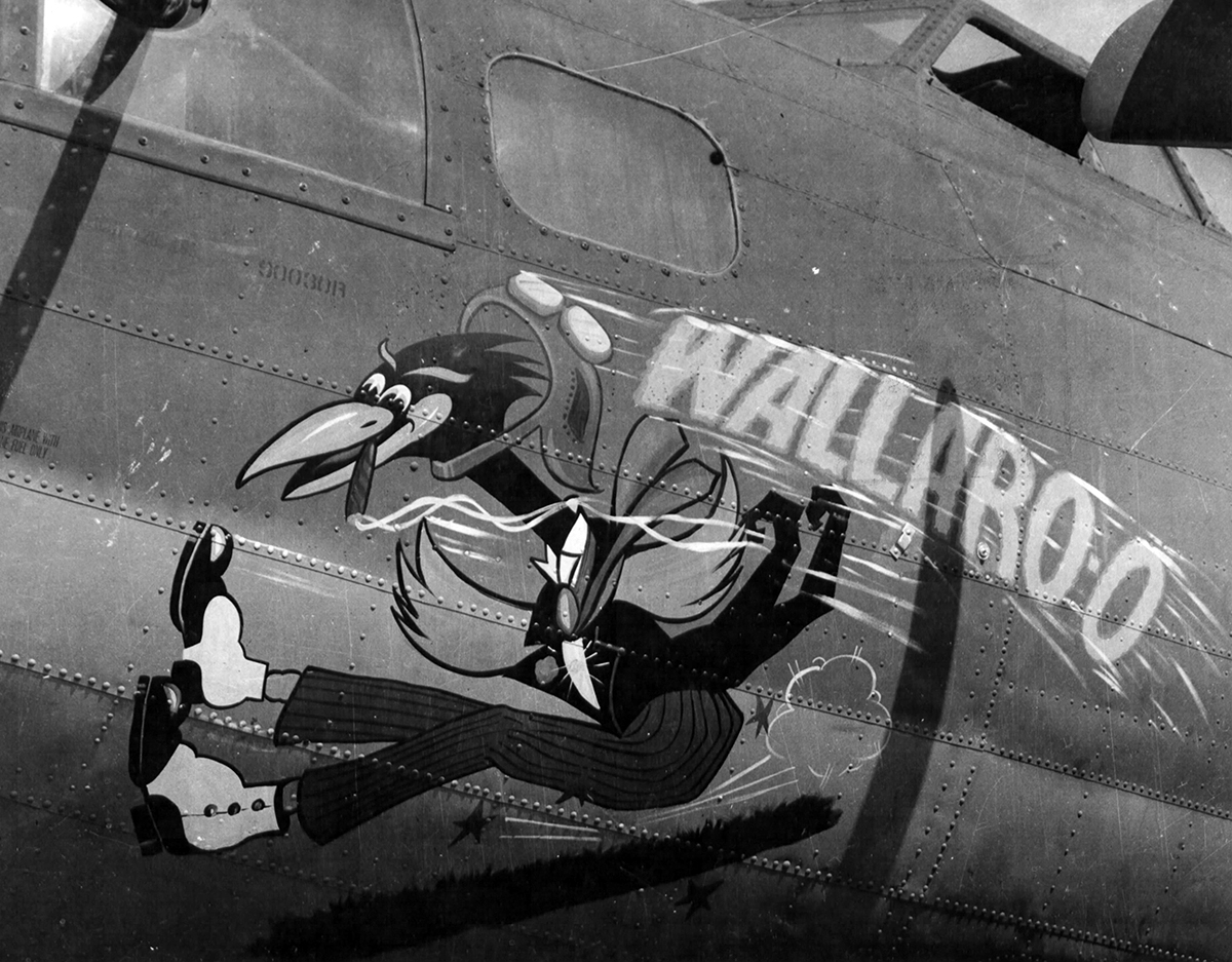 B-17 #42-3029 / Wallaroo
