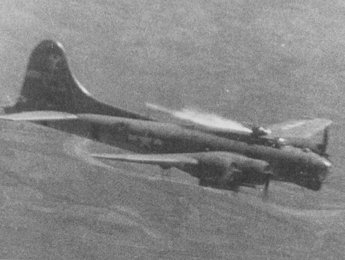 B-17 #42-31527 / Brown Nose